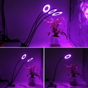 LED Plant Indoor Grow Light