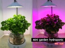 mini garden hydroponic แถมโหลแก้วพร้อมปลูก