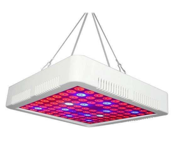 Panel Grow Light Model 300w