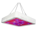 Panel Grow Light Model 300w