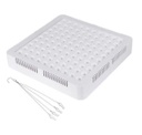 Panel Grow Light Model 300w