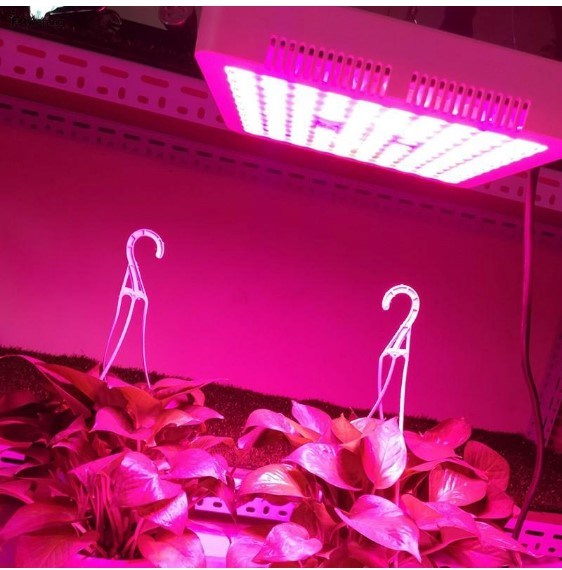 Panel Grow Light Model 300w