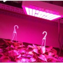 Panel Grow Light Model 300w