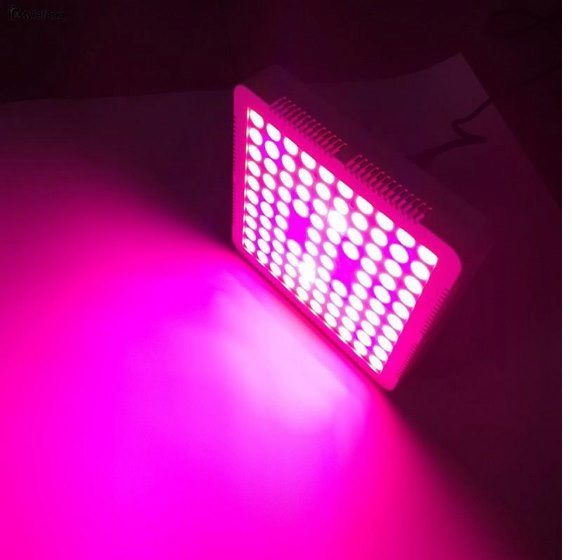 Panel Grow Light Model 300w