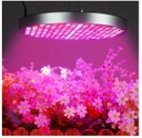 หลอดไฟ panel grow light 50w