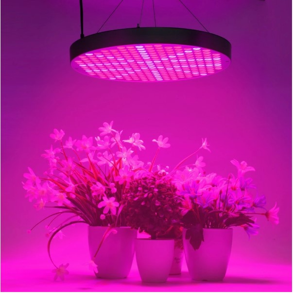 หลอดไฟ panel grow light 50w