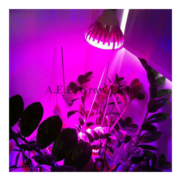 หลอดไฟปลูกต้นไม้ LED PAR GROW LIGHT 7 W E27 AEE Grow Light