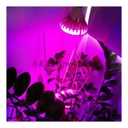 หลอดไฟปลูกต้นไม้ LED PAR GROW LIGHT 7 W E27 AEE Grow Light