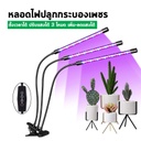 USB Tube Grow Light