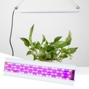 LED GROW LIGHT 80W